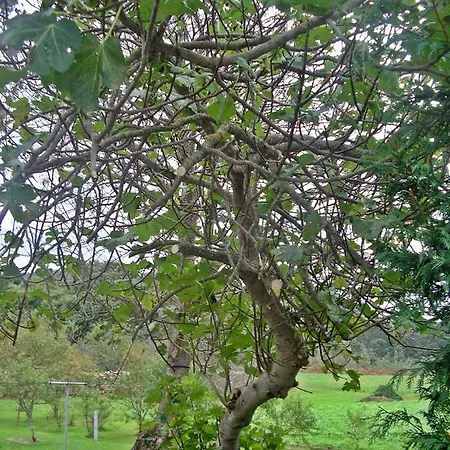 Casa Benito Appartement Ribadeo
