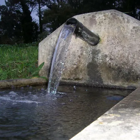 Casa Benito * ריבאדאו